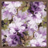 Dijital Soft Eşarp V-5570-01 - Venosa Scarf Eşarp